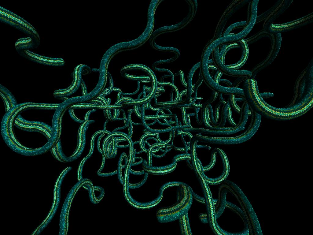 snake01.jpg (122702 Byte)